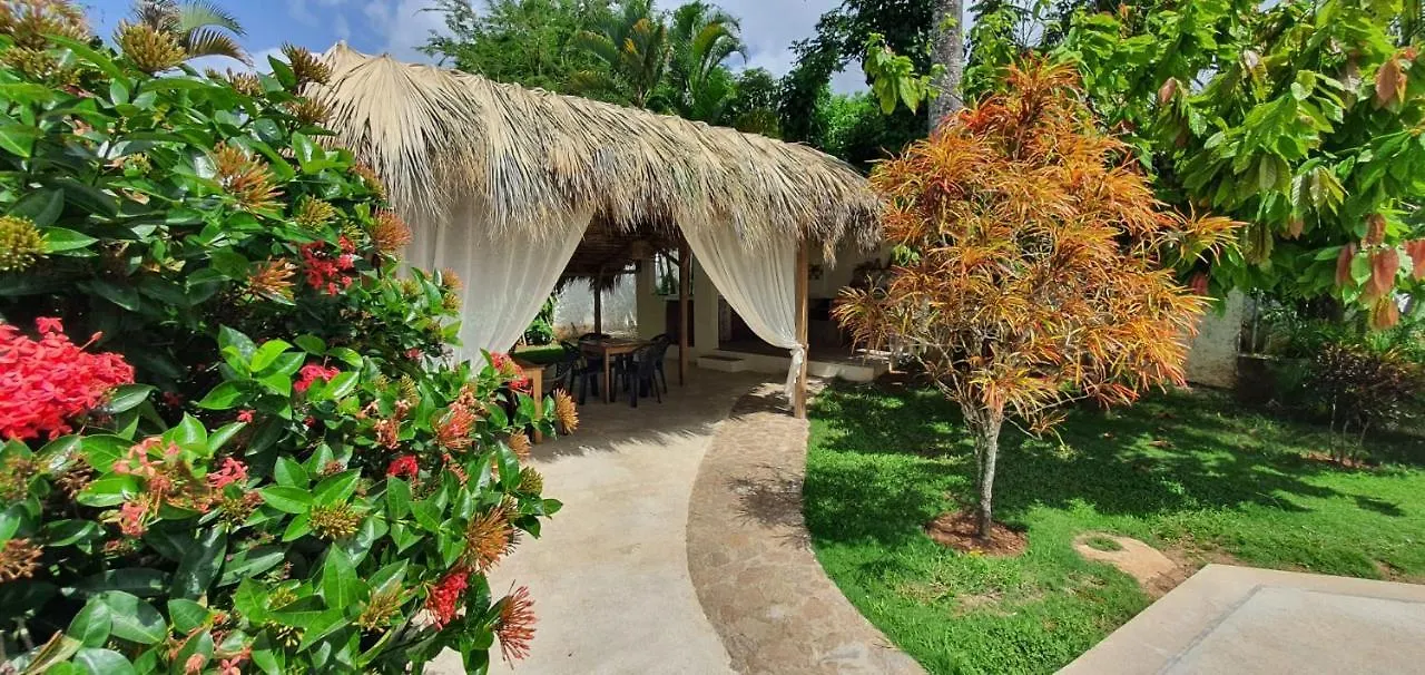 Casa Gio Hotel Las Terrenas Guest house